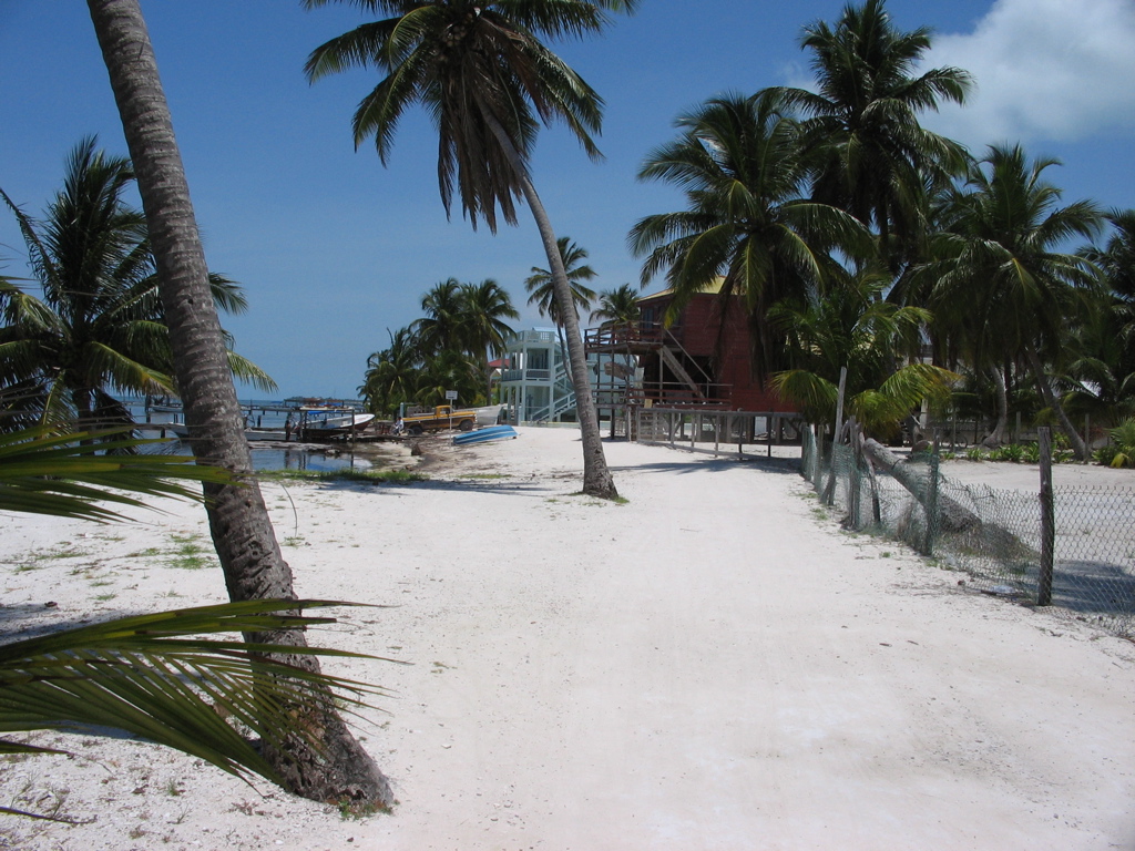 beach at Caye Caulker