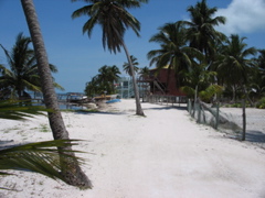 beach at Caye Caulker